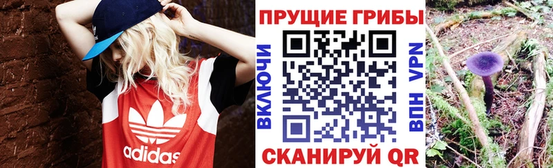 Галлюциногенные грибы ЛСД  Купить  Йошкар-Ола 