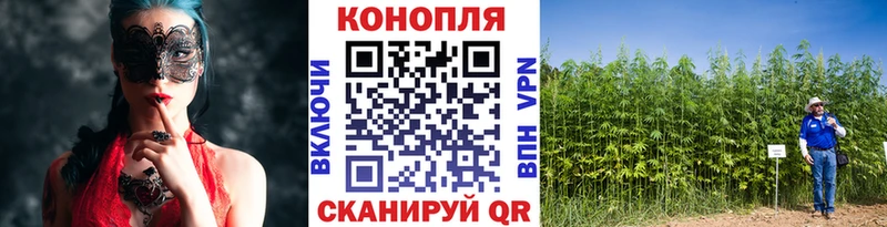 Канабис план  Купить где  Йошкар-Ола 